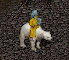 bear1151.png