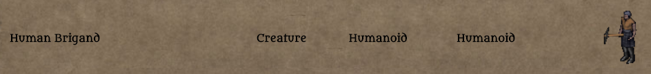 brigand.png