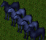 CM_Mount.png