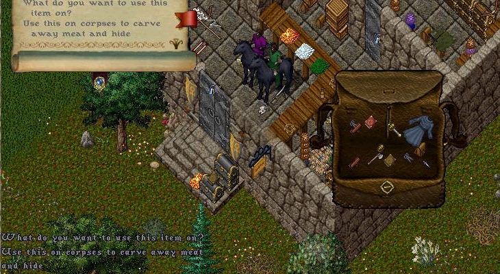 runebookbug.png