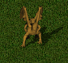 unknown.png
