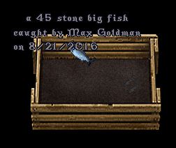 45.JPG