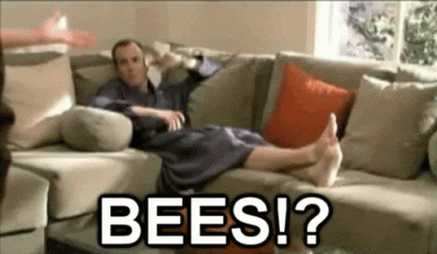 giphy (14).gif