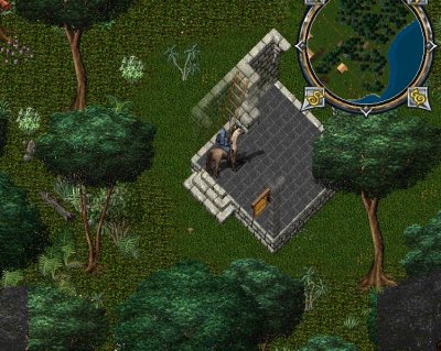 Jhelom Bulls 3.JPG
