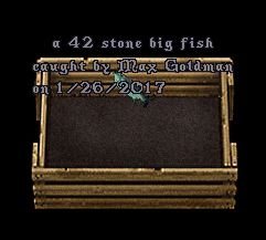 42.JPG
