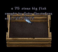 75.JPG
