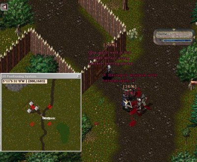 camp 03.jpg