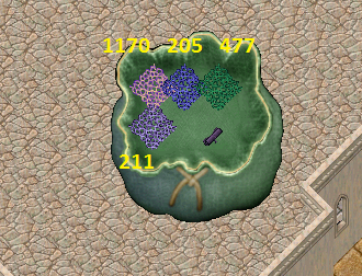 NetCarpet.png