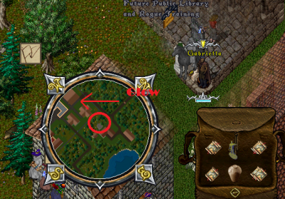 shop.png