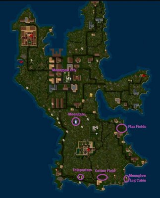 Moonglowlog004.jpg