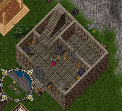 DiG Pet Training.JPG
