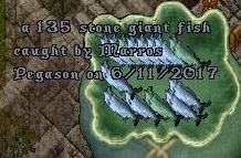 Marros 135.jpg