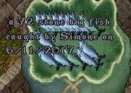 Simone 72.jpg
