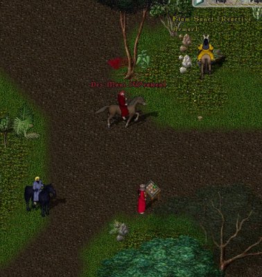 b1.JPG