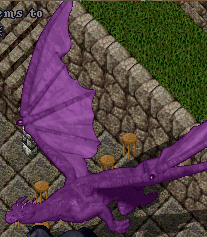 purpledragon.png