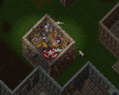 Sir Allistar_7-26_19.06.jpg
