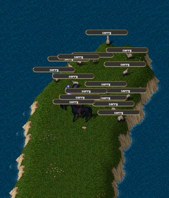 sheeps.jpg