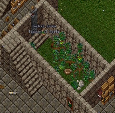 Keza_01T.jpg