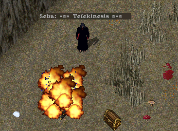lp2.png