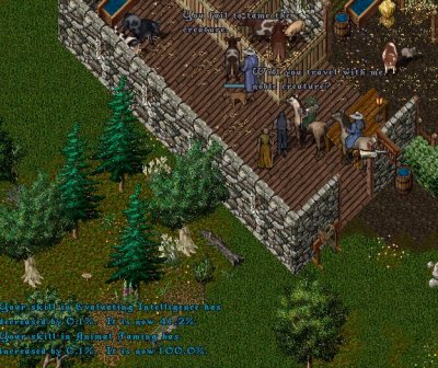 Tame 1.jpg