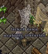 mephitis2.JPG