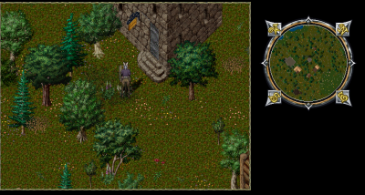 yew2.png