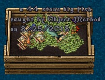 FISH.jpg