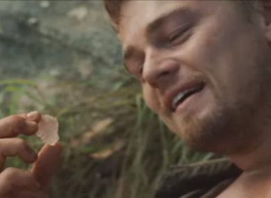 leonardo-dicaprio-blood-diamond-390x285.png