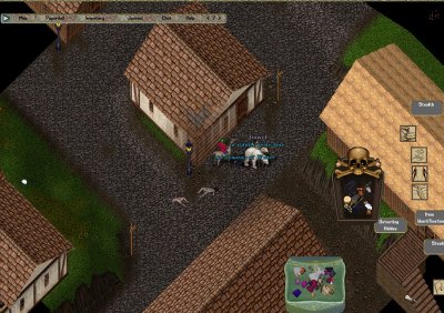 PolarBearFREED.jpg