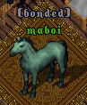 maboi.png