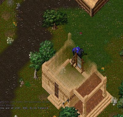 Yew Sandstone.JPG