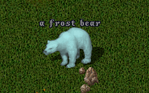 FrontBear-1.png