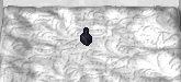 maskdye.PNG
