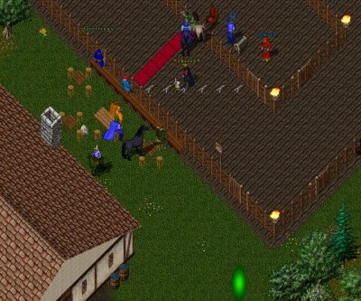 Action 02.jpg