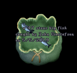 47.PNG