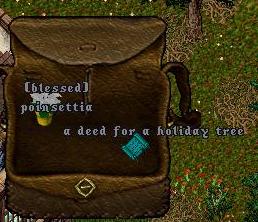 Holiday Coin Stuff.jpg