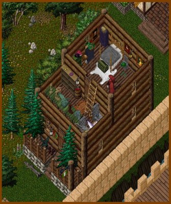 Wim 02.jpg