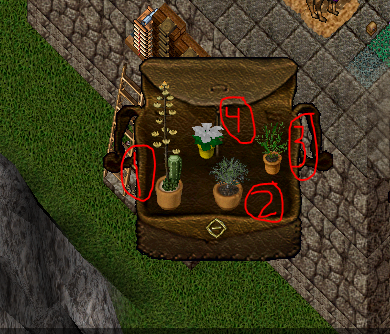 treeees.PNG