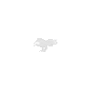 EagleSpirit_100.png