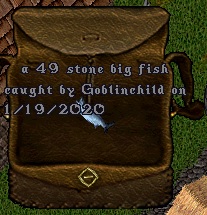 Fish#18.jpg