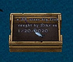 fish2.jpg