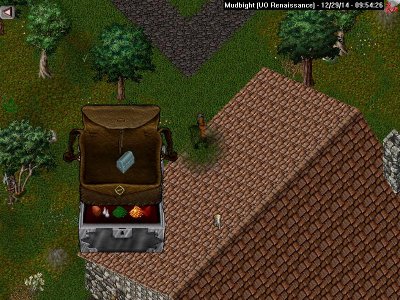 Mudbight_12-29_09.54.jpg