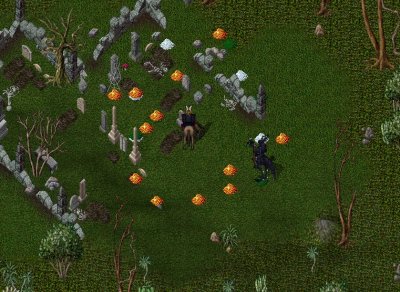 Capture3.JPG