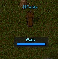 Waldo.JPG