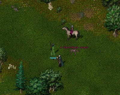 unknown6.jpg