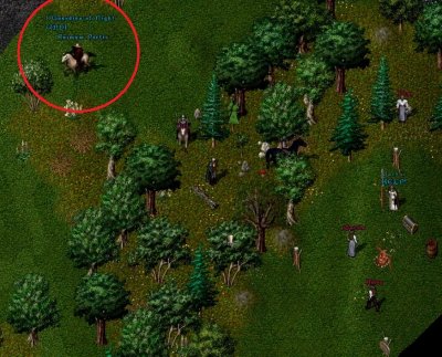 Help!.jpg
