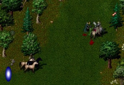 Horses.jpg