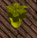 upload_2020-4-26_9-44-15.png