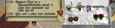 bear.PNG