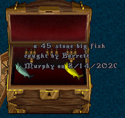 81445.jpg